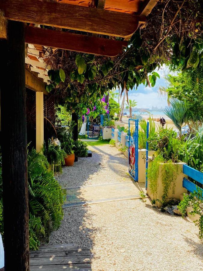 Aruba Sunset Beach Studios Palm Beach Ngoại thất bức ảnh