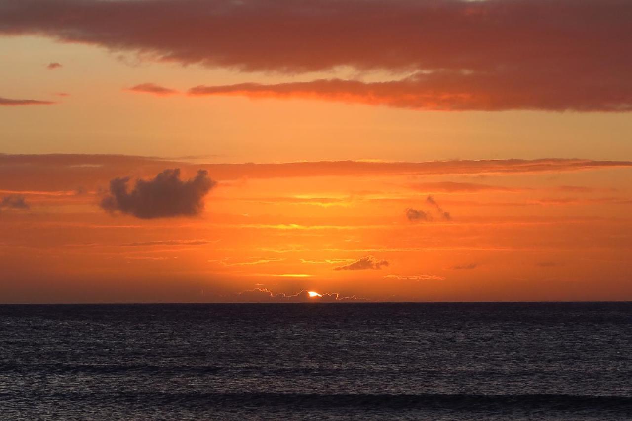 Aruba Sunset Beach Studios Palm Beach Ngoại thất bức ảnh