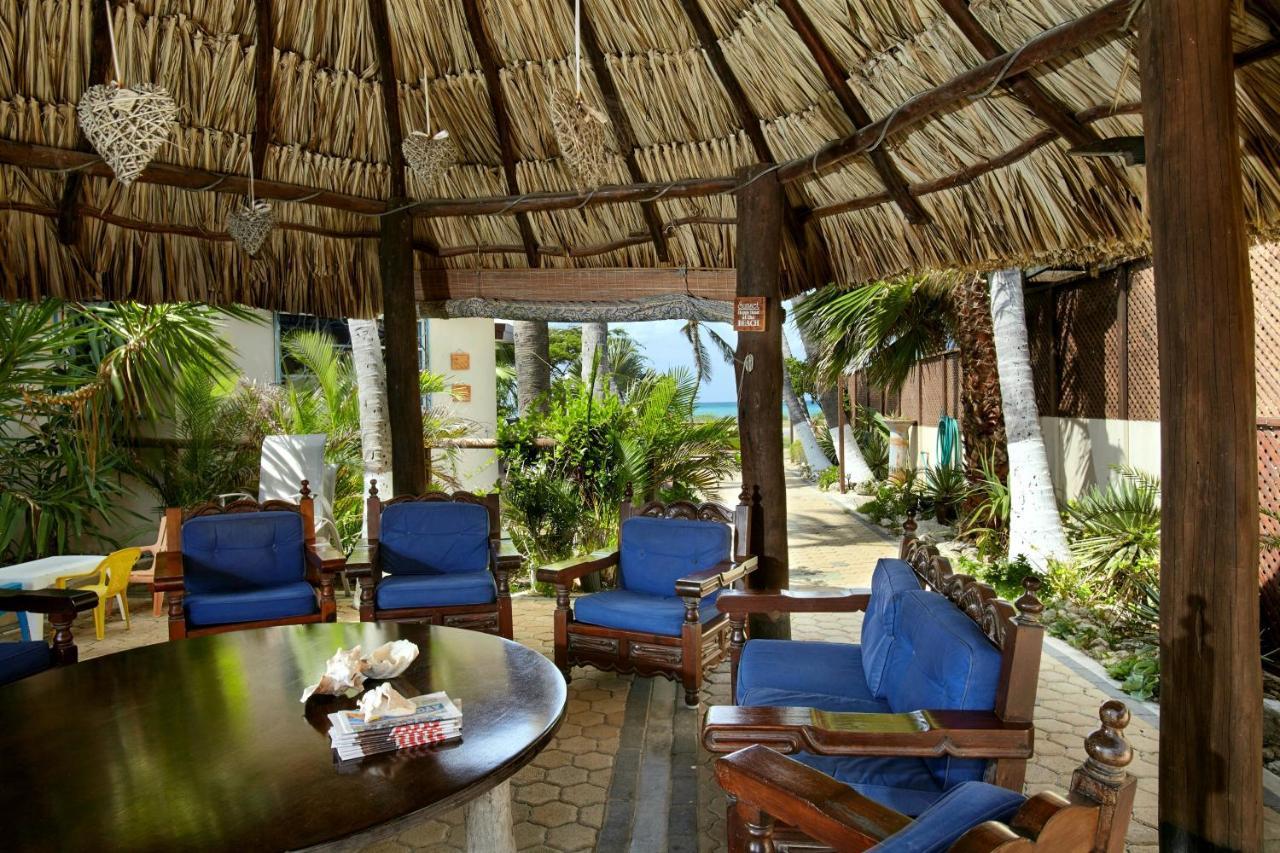 Aruba Sunset Beach Studios Palm Beach Ngoại thất bức ảnh