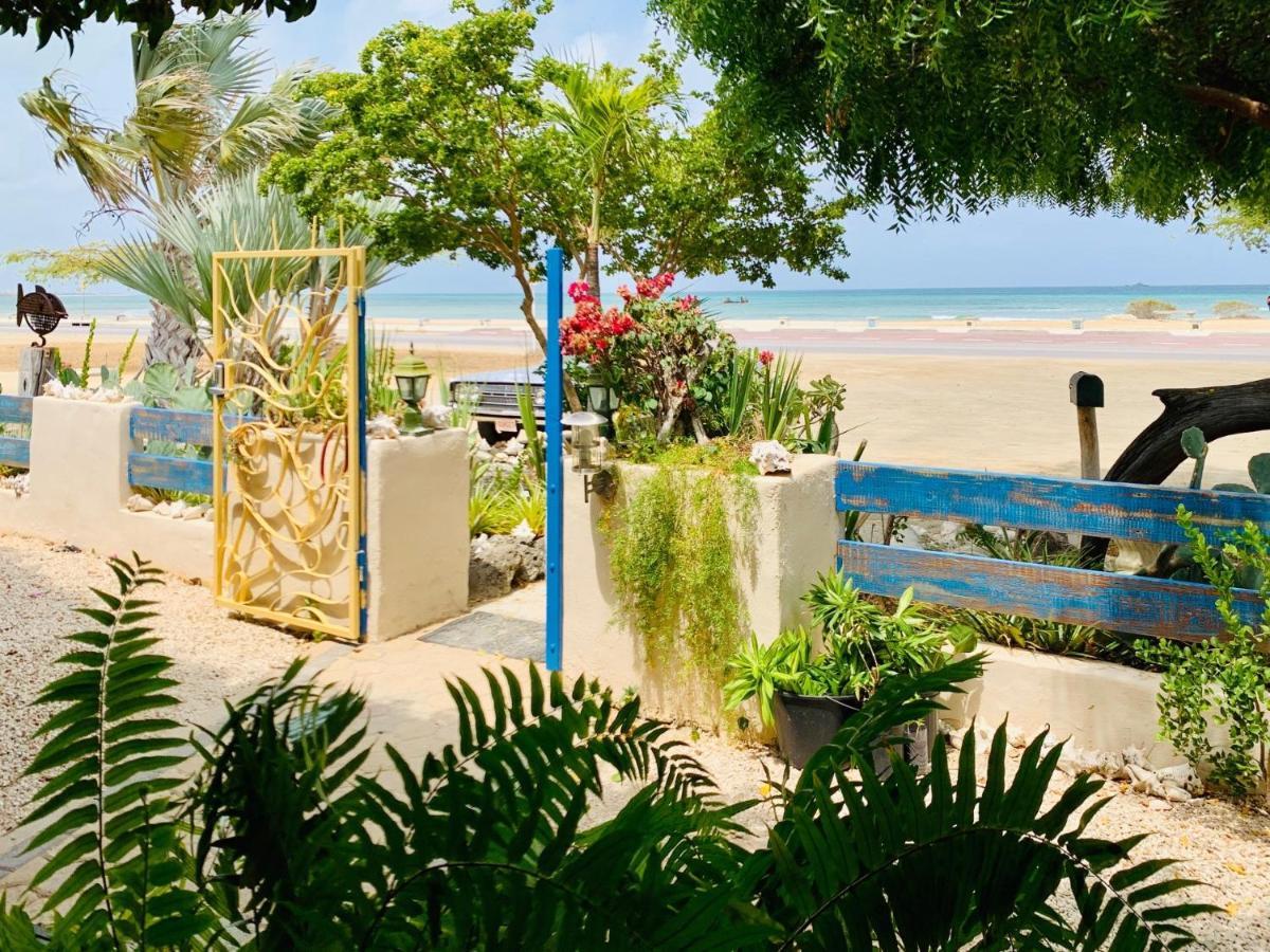 Aruba Sunset Beach Studios Palm Beach Ngoại thất bức ảnh