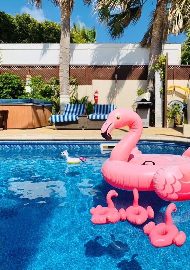 Aruba Sunset Beach Studios Palm Beach Ngoại thất bức ảnh